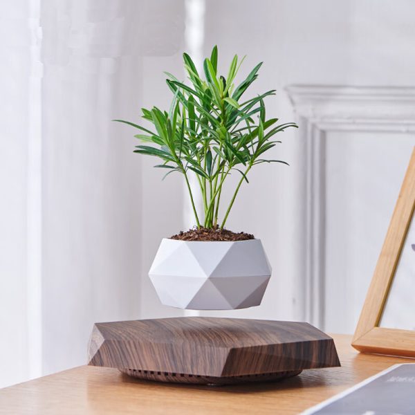 magnetic suspension pot