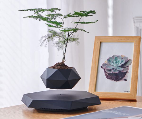 magnetic suspension pot