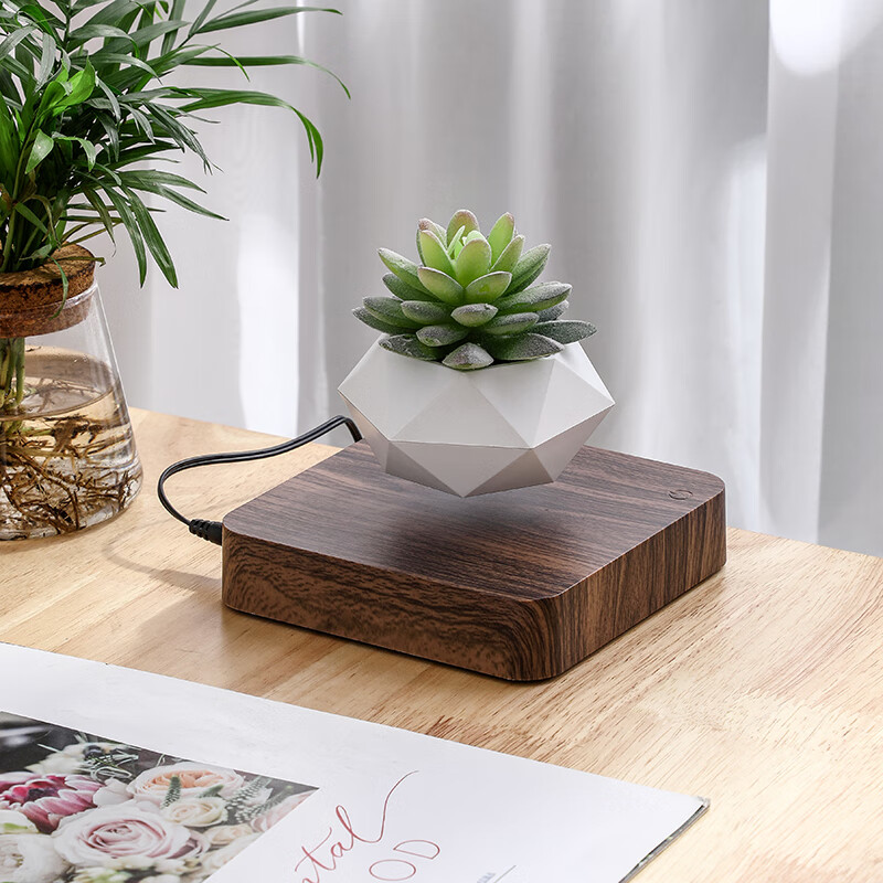 magnetic suspension pot