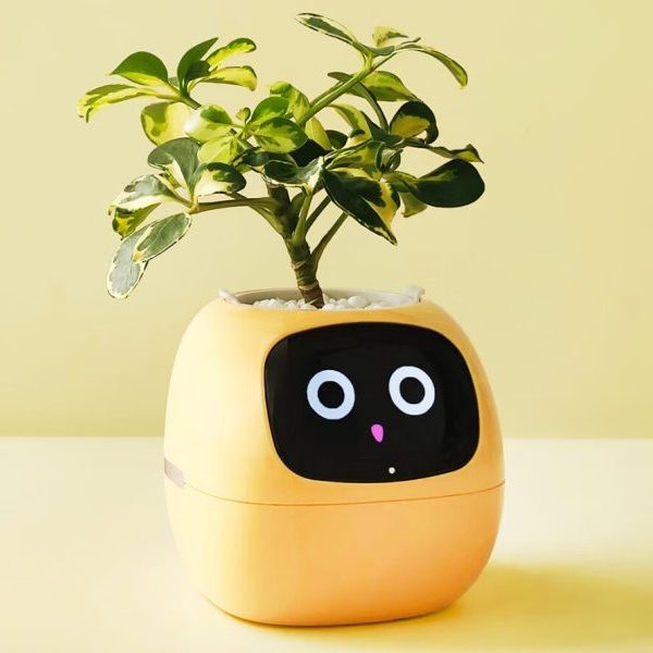 plantrobot