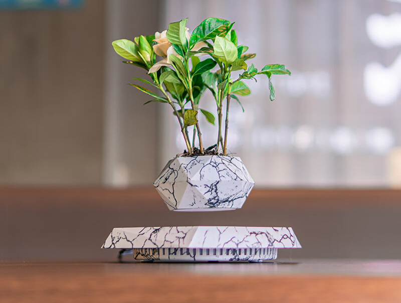 magnetic suspension pot