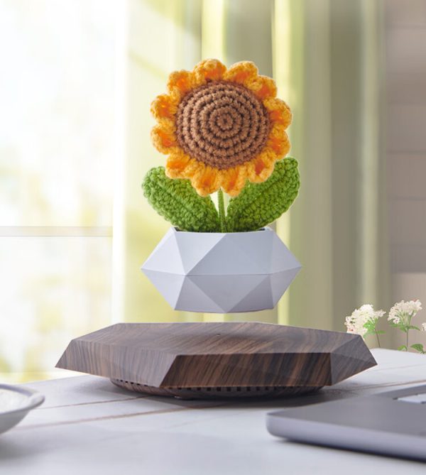 magnetic suspension pot
