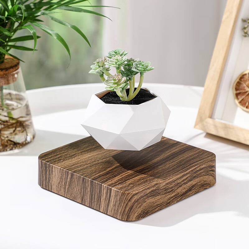 magnetic suspension pot