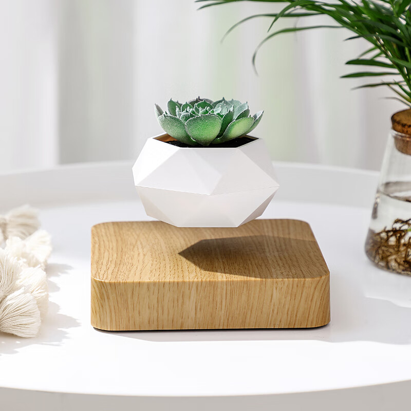 magnetic suspension pot