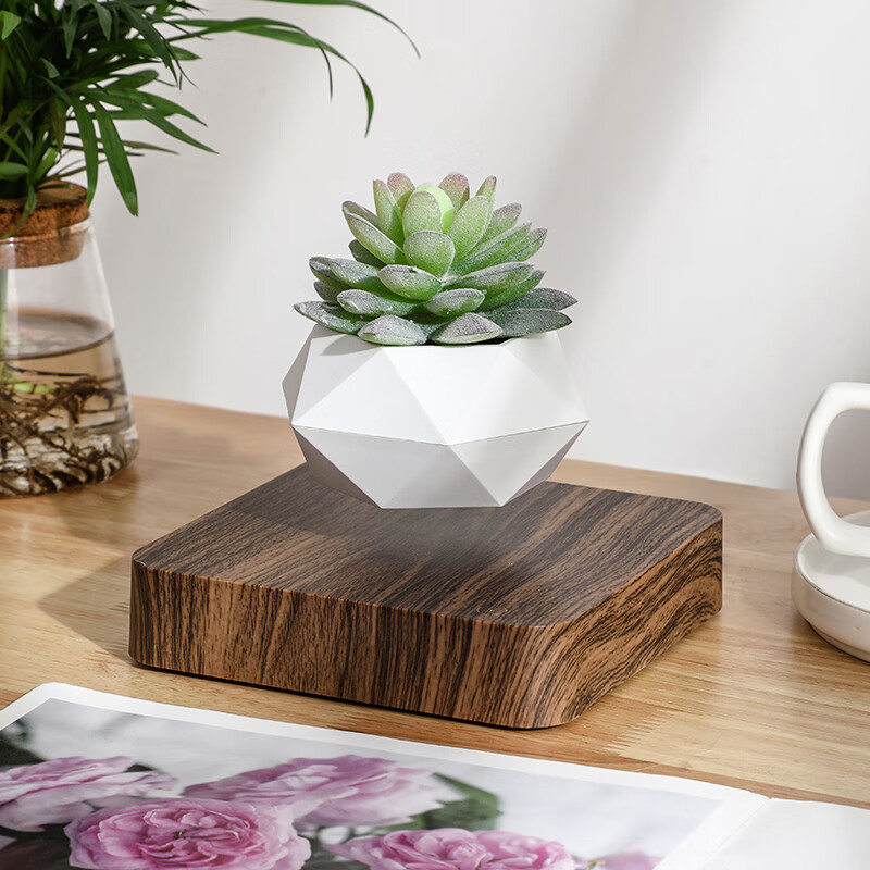 magnetic suspension pot