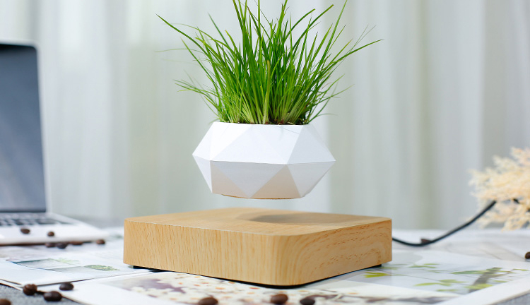 magnetic suspension pot